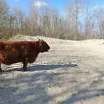 Beach House Bonna - Free Parking & Bikes