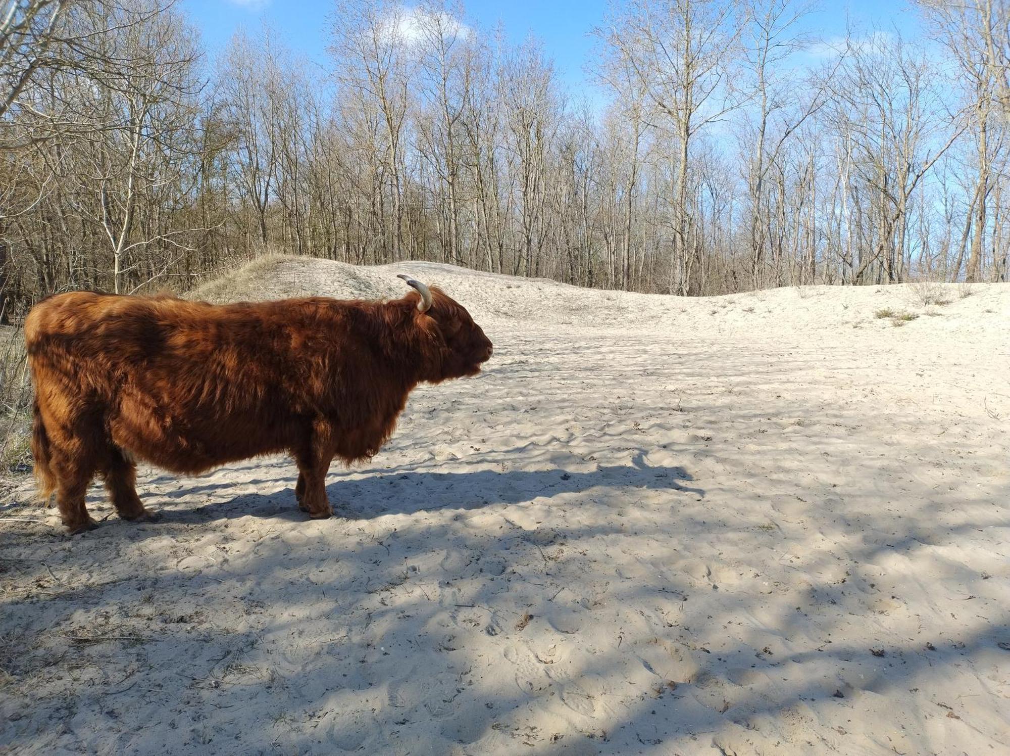 House Bonna - Free Parking & Bikes Appartement *